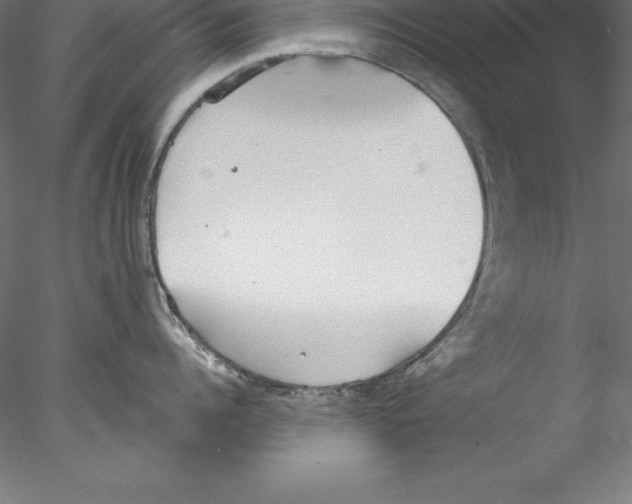 X0000076410960200611031744