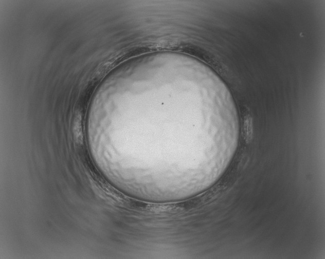 X0000076410963200611031743