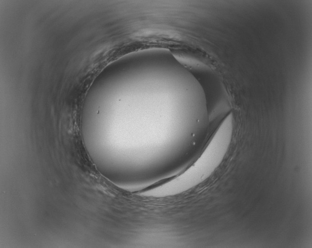 X0000076410965200611031743