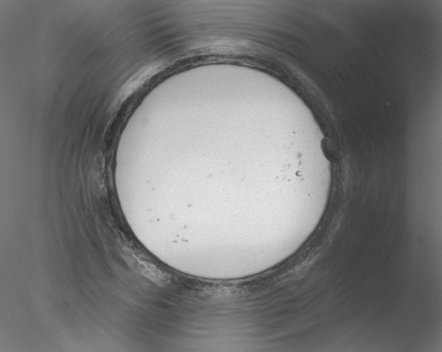 X0000076410970200611031743