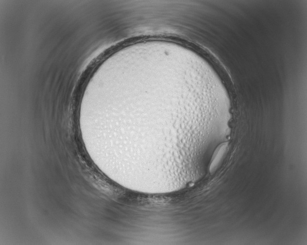 X0000076410975200611031743