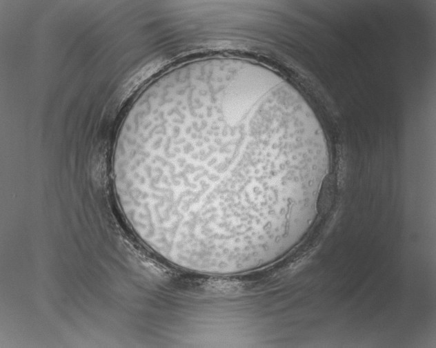 X0000076410977200611031743