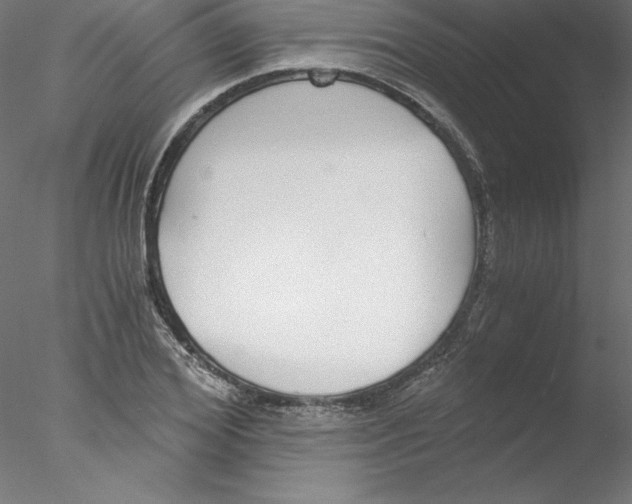 X0000076410980200611031743