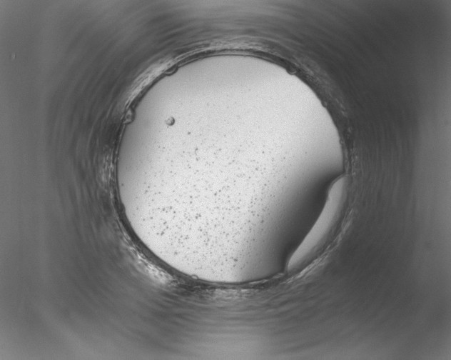 X0000076410985200611031743