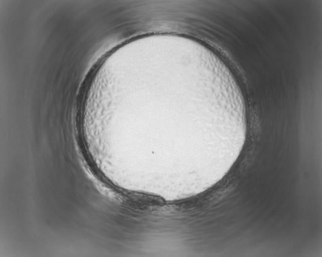 X0000076410991200611031743