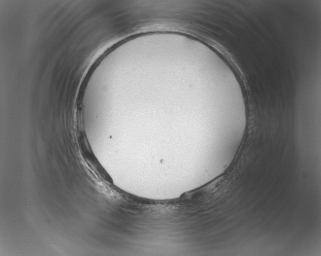 X0000076410996200611031743