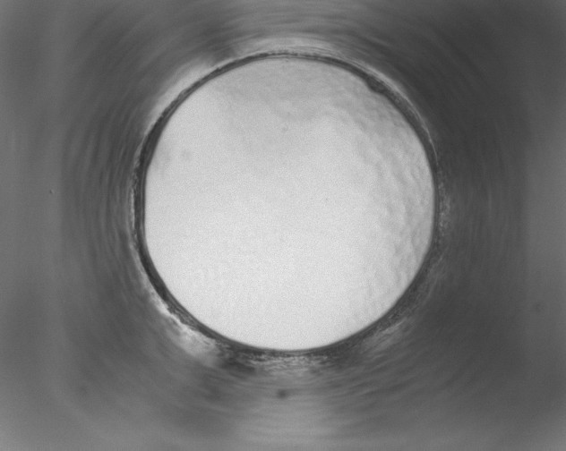 X0000076410999200611031743