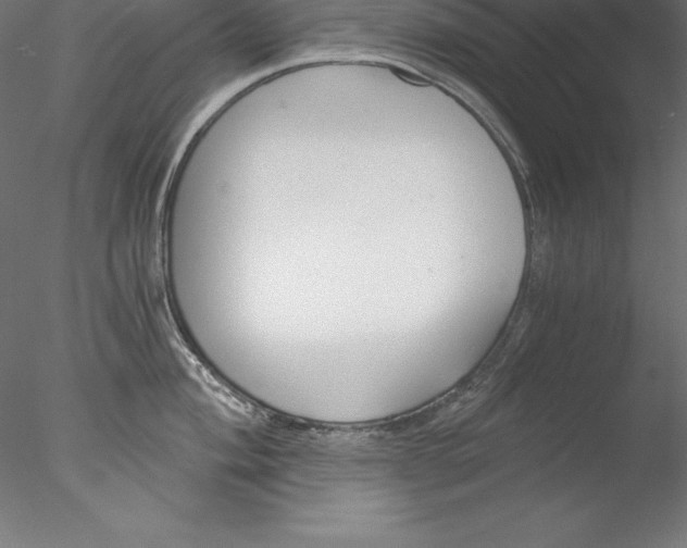 X0000076411004200611031743