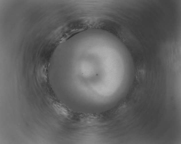 X0000076411010200611031742