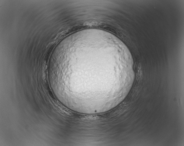 X0000076411012200611031742