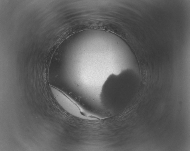 X0000076411013200611031742
