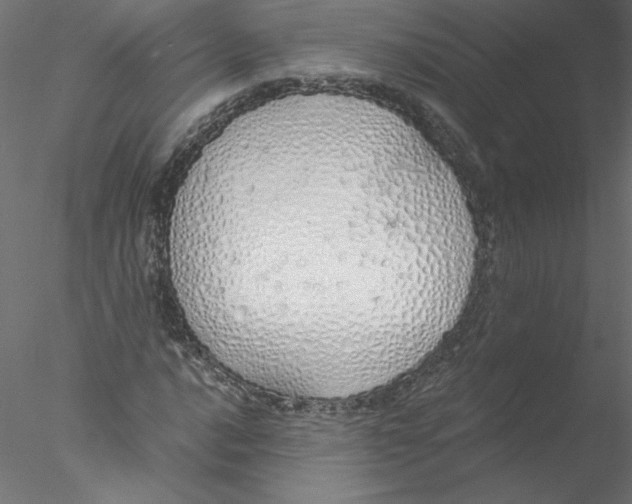 X0000076411016200611031742