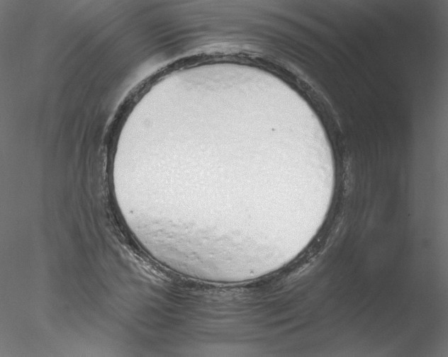 X0000076411021200611031742