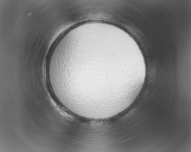 X0000076411032200611031742