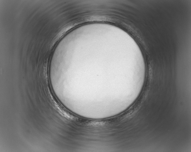 X0000076411033200611031742