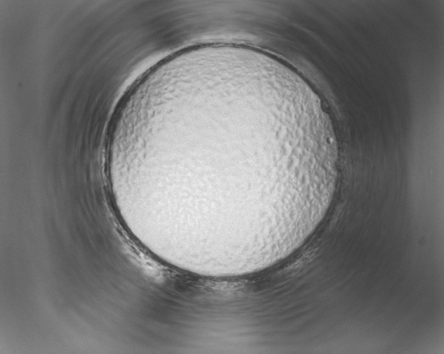 X0000076411044200611031742