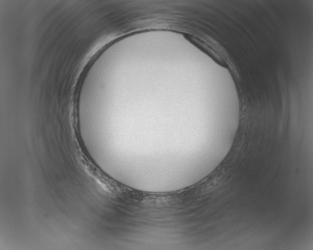X0000076411051200611031742