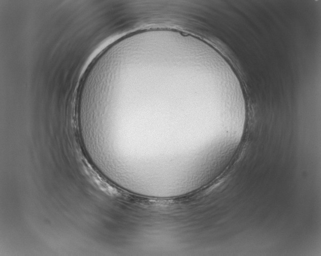 X0000076411052200611031742