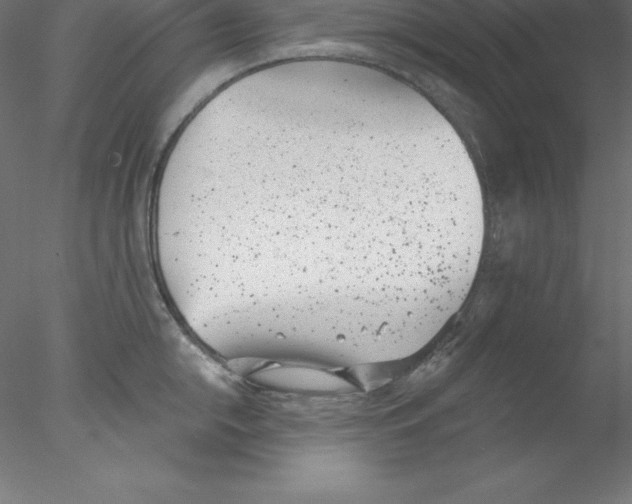 X0000076411054200611031743