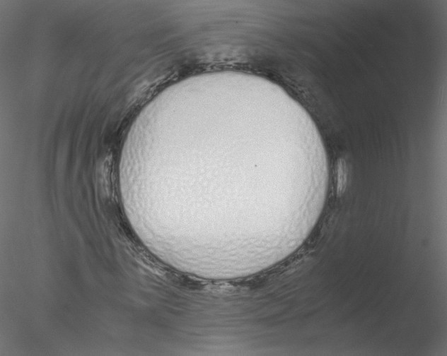 X0000076411059200611031742