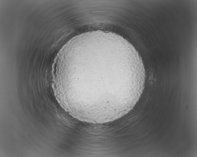 X0000076411060200611031742