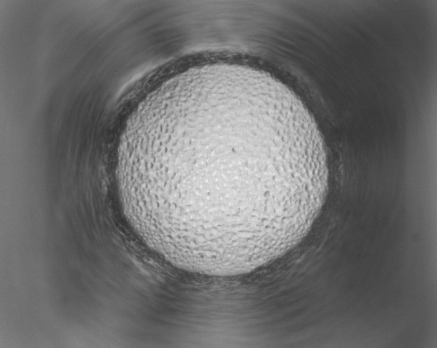 X0000076411064200611031742