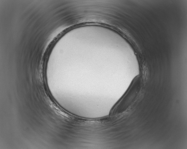 X0000076411068200611031742