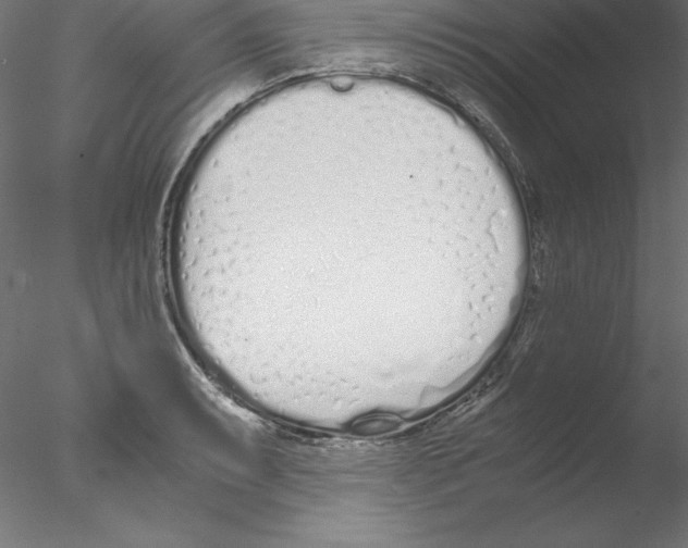 X0000076411087200611031741