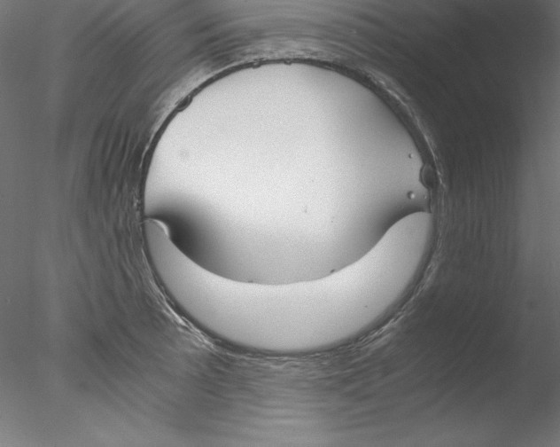 X0000076411089200611031741