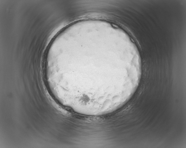 X0000076411091200611031741