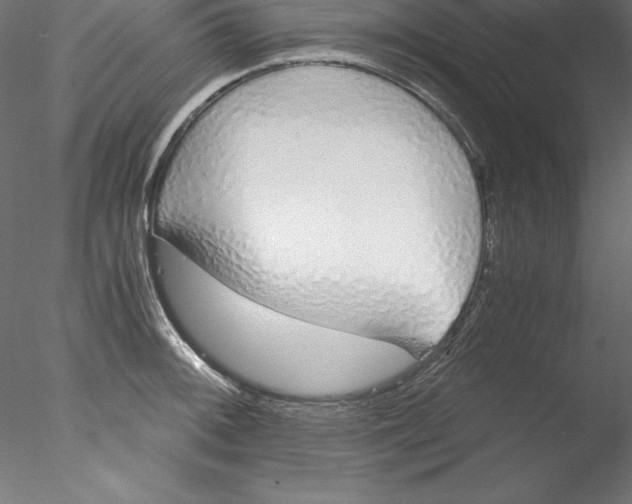 X0000076411092200611031741