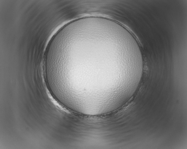 X0000076411100200611031741