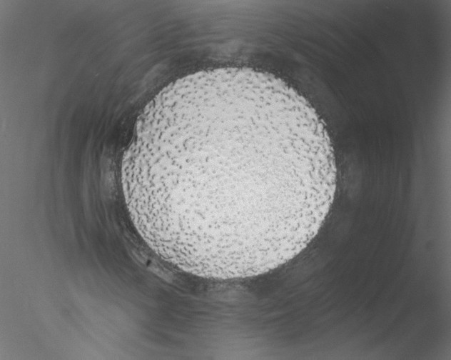 X0000076411154200611031740