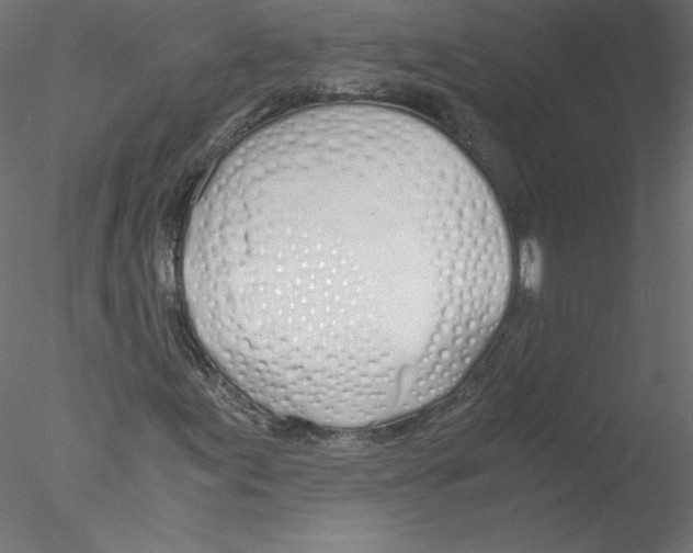 X0000076411155200611031740
