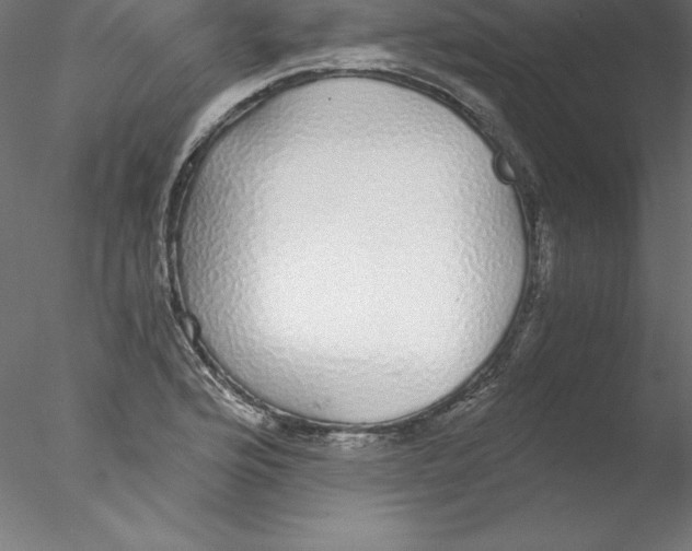 X0000076411176200611031740