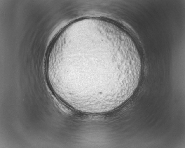 X0000076411183200611031740