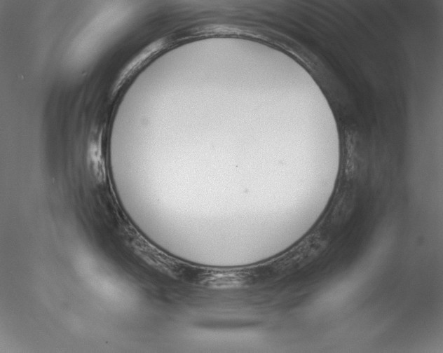 X0000076411198200611031739