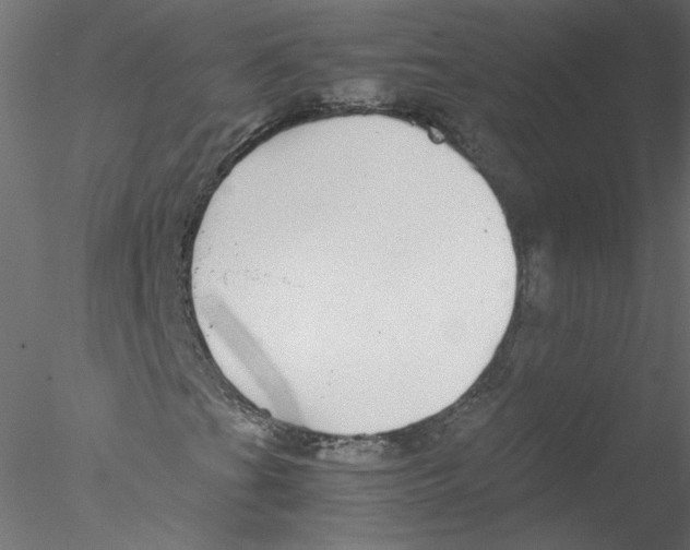 X0000076411201200611031739