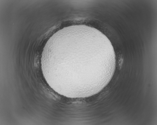 X0000076411204200611031739
