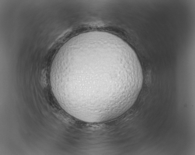 X0000076411205200611031739