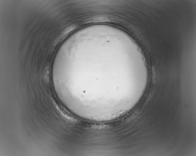 X0000076411225200611031739