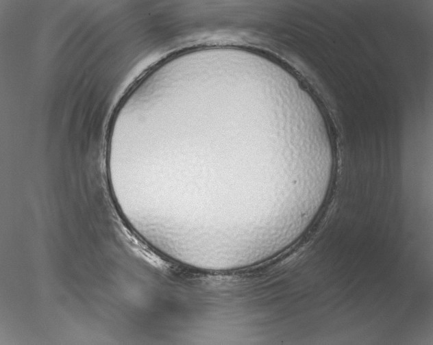X0000076411232200611031739