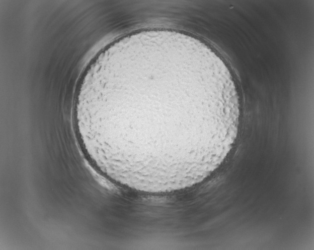 X0000076411245200611031739