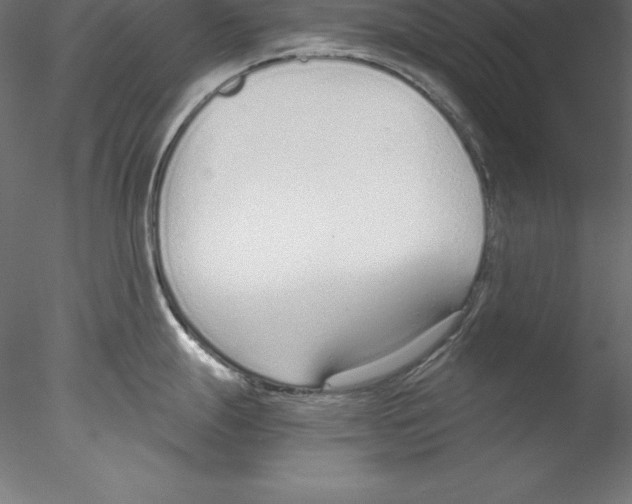 X0000076411247200611031739