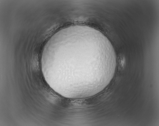 X0000076411252200611031738