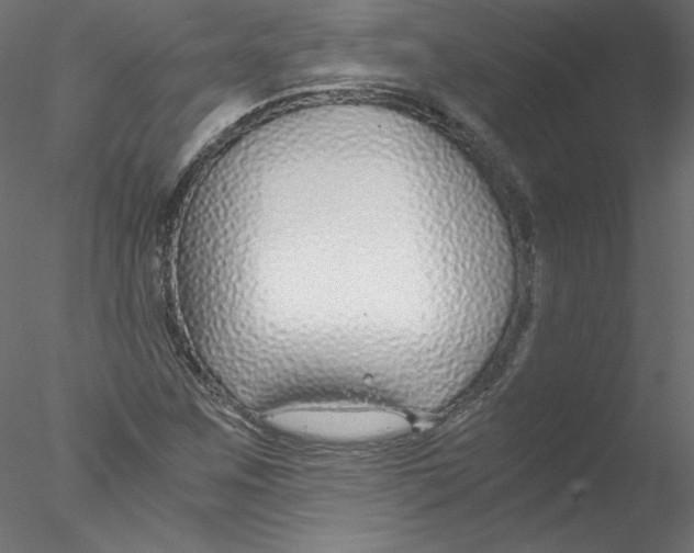X0000076411259200611031738