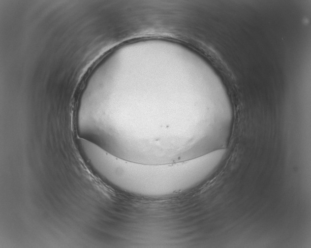 X0000076411268200611031738