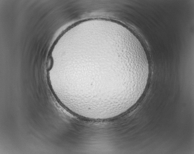 X0000076411288200611031738