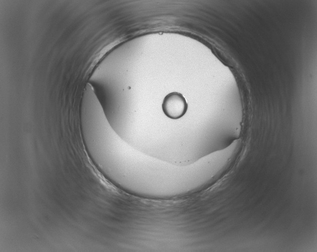 X0000076411289200611031738