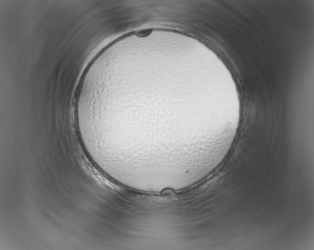 X0000076411292200611031738